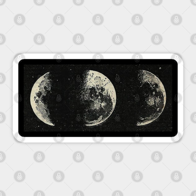 Moon phases Sticker by anitaacollages